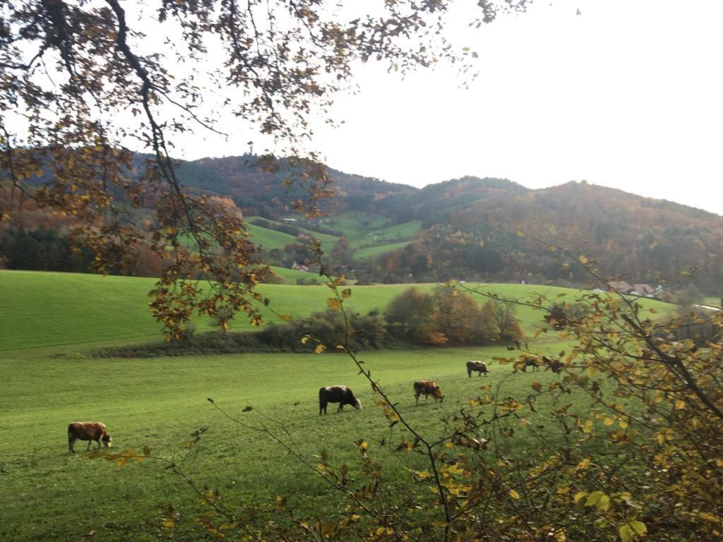 Gartenwohnung Gundelfingen  Exterior foto