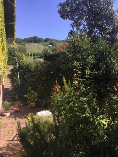 Gartenwohnung Gundelfingen  Exterior foto