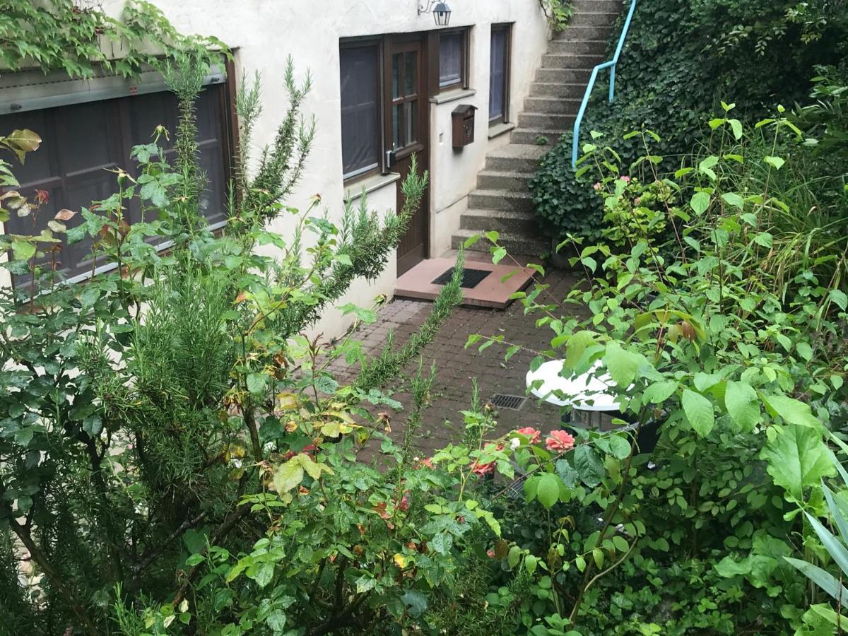 Gartenwohnung Gundelfingen  Exterior foto